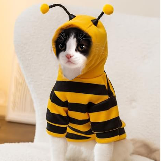 Bumbleee Cat Outfit