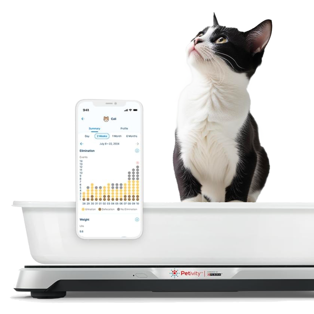 Smart Cat Litterbox Monitor